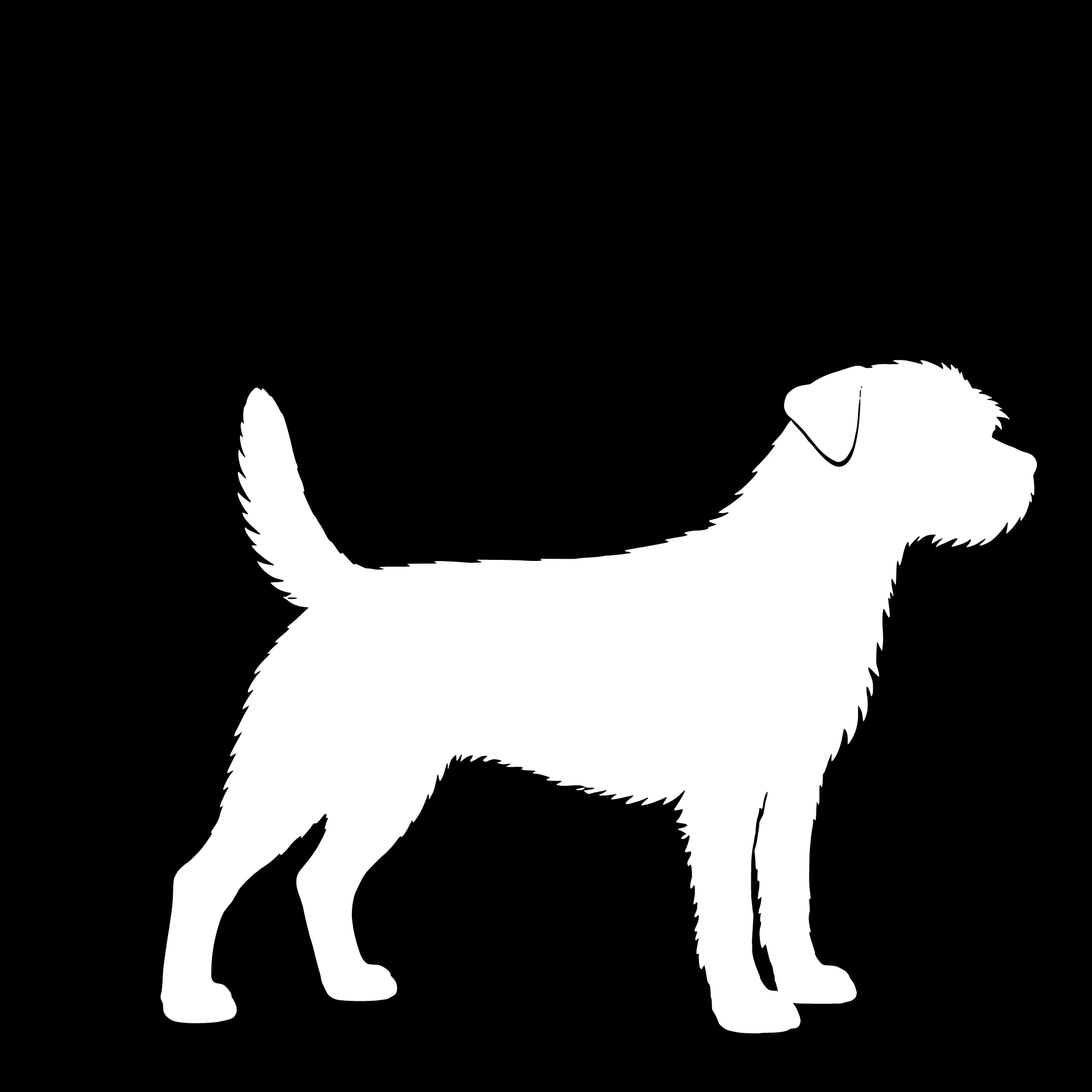 Border Terrier– Einzelmotiv Aufkleber