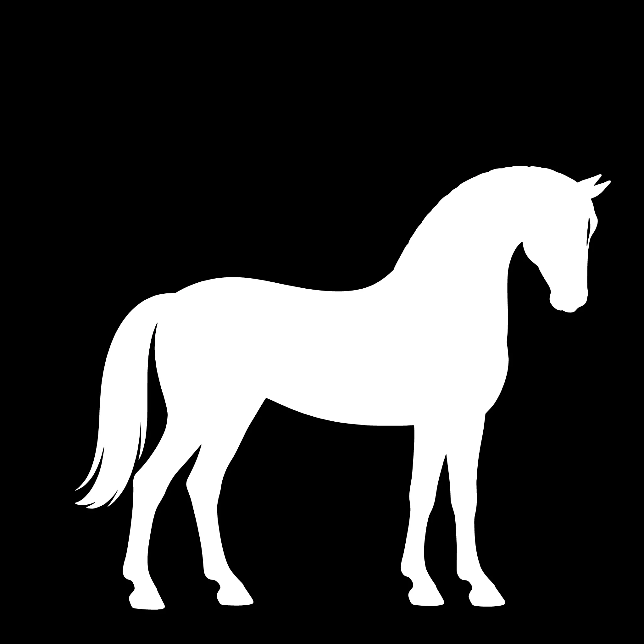 Dänisches Sportpony – Einzelmotiv Aufkleber