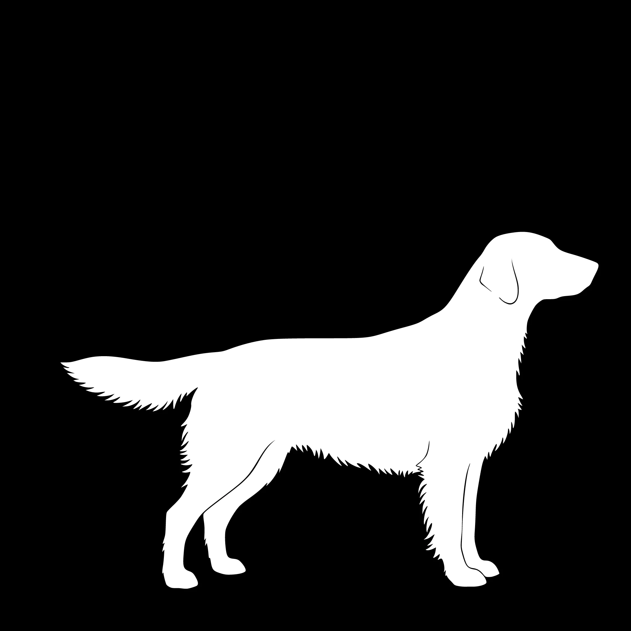 Flat Coated Retriever – Enkelmotiv Dekal