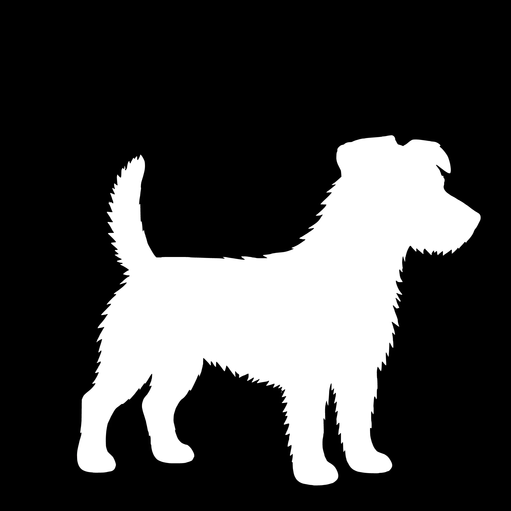 Jack Russell Terrier (strävhårig) – Enkelmotiv Dekal
