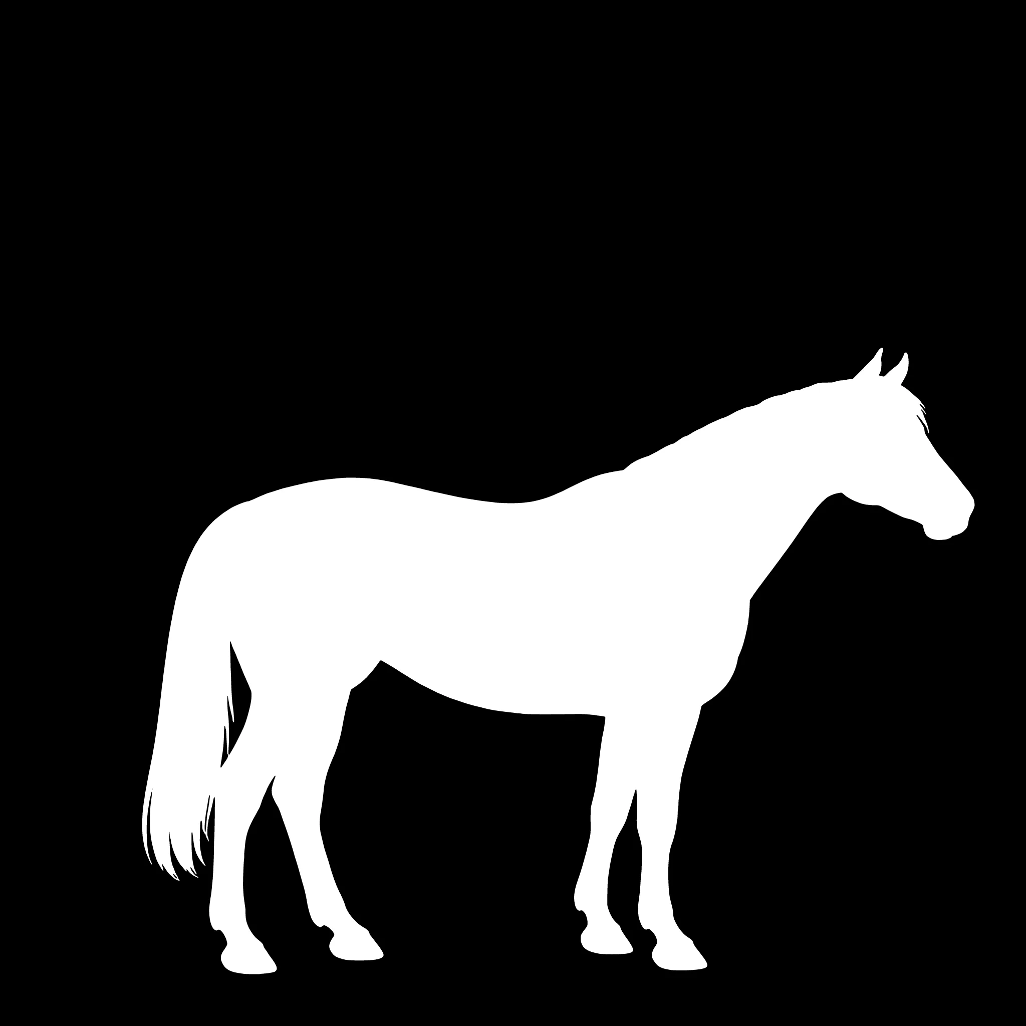 Pinto – Einzelmotiv Aufkleber