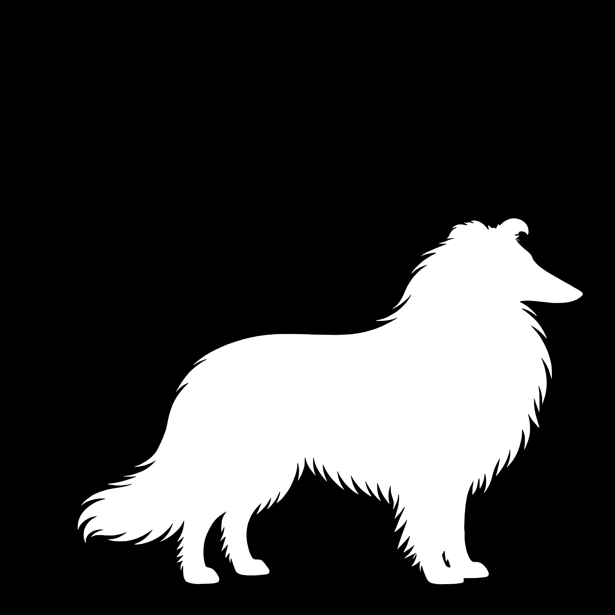 Langhaar Collie – Einzelmotiv Aufkleber