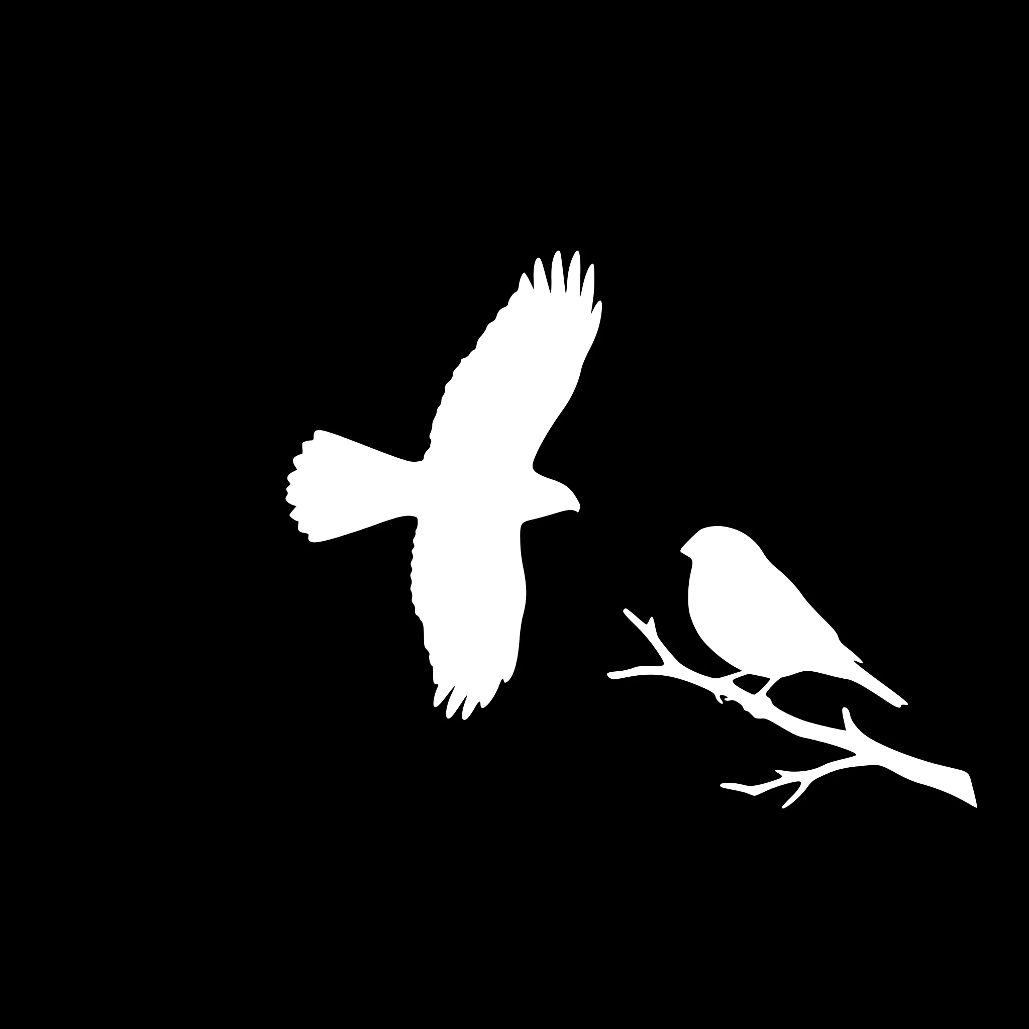 Høk & Dompap – vindusstickerssett