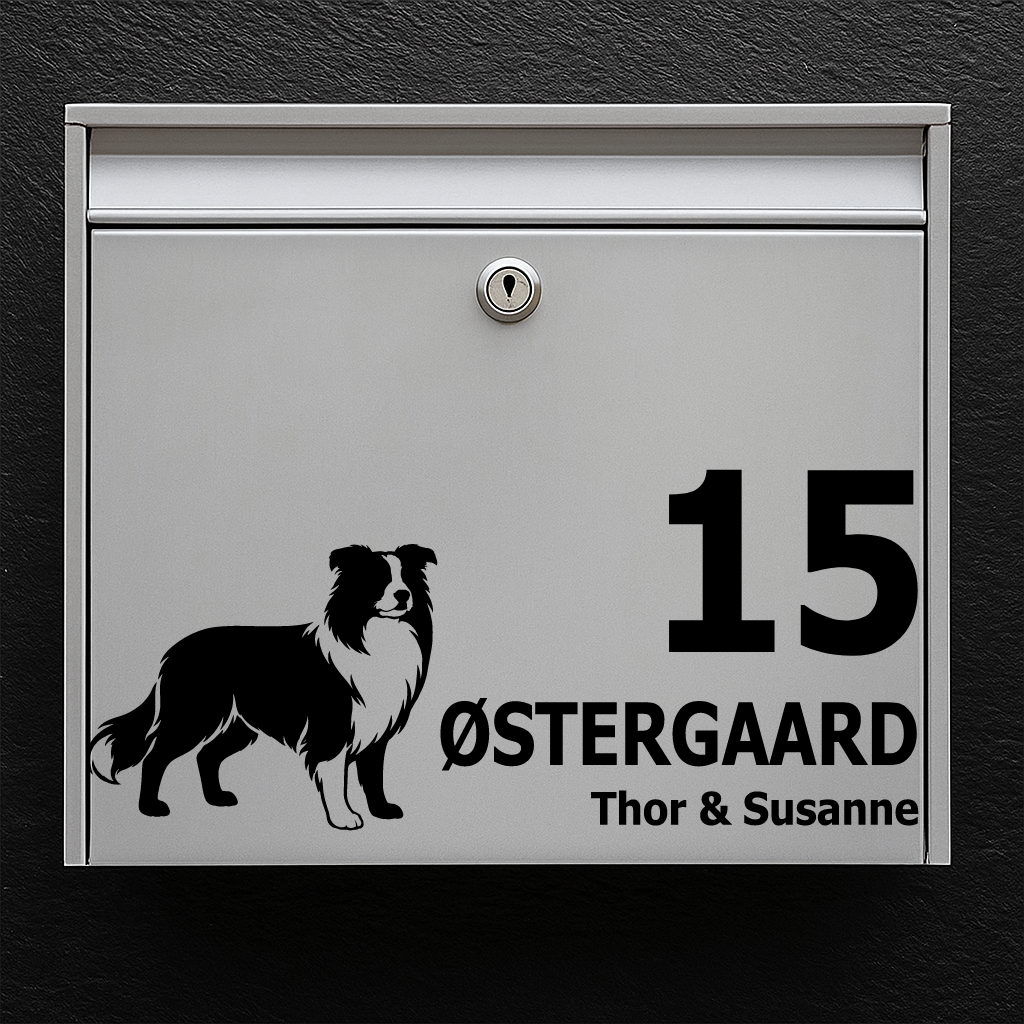 Postkassesticker med border collie