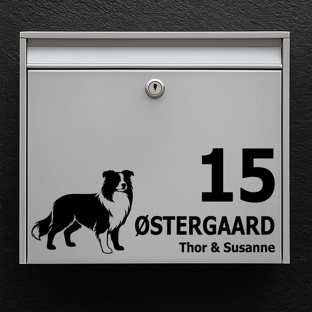 Postkassesticker med border collie